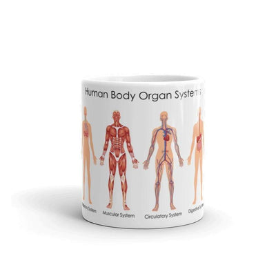 Mug Mug Science "Human Body Organ Systems" The Sexy Scientist